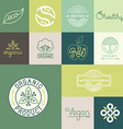 set of natural organic vegan badges vector image