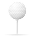 golf 22 vector image