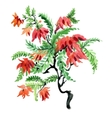 watercolor and ink of blossoming vector image