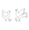one line chicken family rooster hen and chickens vector image vector image
