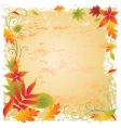 background with colorful autumn leaves vector image