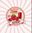 raspberry retro vintage background vector image