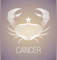 Water symbol cancer zodiac sign horoscope Vector Image