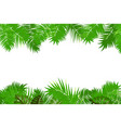 summer jungle palm leaf frame vector image vector image