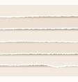 set of ripped and torn paper stripes texture vector image