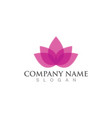 lotus flowers design logo template vector image