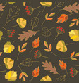 seamless pattern with autumn colorful leaves vector image