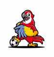 parrot football cartoon mascot design vector image vector image