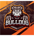 bulldog esport mascot logo design vector image vector image