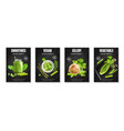 realistic celery poster icon set vector image