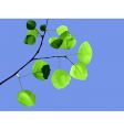 leaves vector image vector image