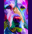 Colorful close up golden retriever dog on pop art Vector Image