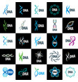 logo dna vector image
