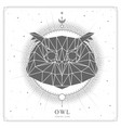 magic witchcraft card with owl zodiac sign vector image