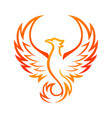 phoenix logo template vector image vector image