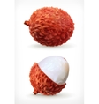 lychee icon vector image vector image