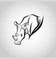 rhinoceros head vector image
