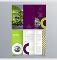 brochure design 1926 vector image