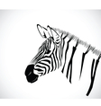 zebra 2 vector image