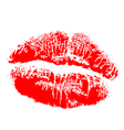 lipstick kiss vector image vector image