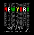 new york 3 vector image