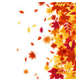 autumn falling leaves nature background with red vector image vector image