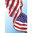 national flag of the usa vector image vector image