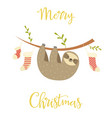 sloth hanging on the tree christmas greeting card vector image