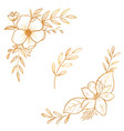 watercolor valentine floral collection vector image