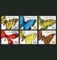 set postage stamps with various butterflies vector image