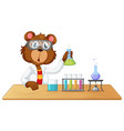 a lap bear character vector image