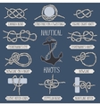 set of nautical rope knots vector image vector image