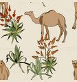 savanna camel in desert pattern cartoon wild vector image vector image