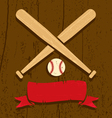 baseball vector image