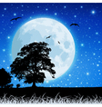 moon in night sky vector image