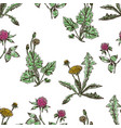seamless background of dandelions and clower vector image