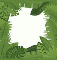 tropical green leaves vector image