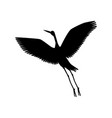 hand drawn white crane bird takes off vector image vector image