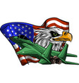 military fighter jets with eagle and american flag vector image