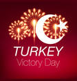 30 august zafer bayrami victory day turkey vector image