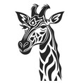 giraffe animal nature conservation vector image