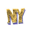 lettering ny city clothes fashion printing vector image
