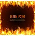 burning fire flame on the black background vector image
