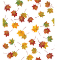leaves vector image vector image