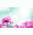 beautiful flowers blooming on blue light bokeh vector image vector image