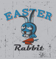easter rabbit poster vector image