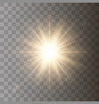 golden shining sun vector image