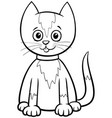 Blue cat character cartoon Royalty Free Vector Image