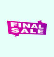 final sale banner poster background big vector image