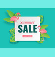 summer sale banner tropical paper cut poster vector image vector image